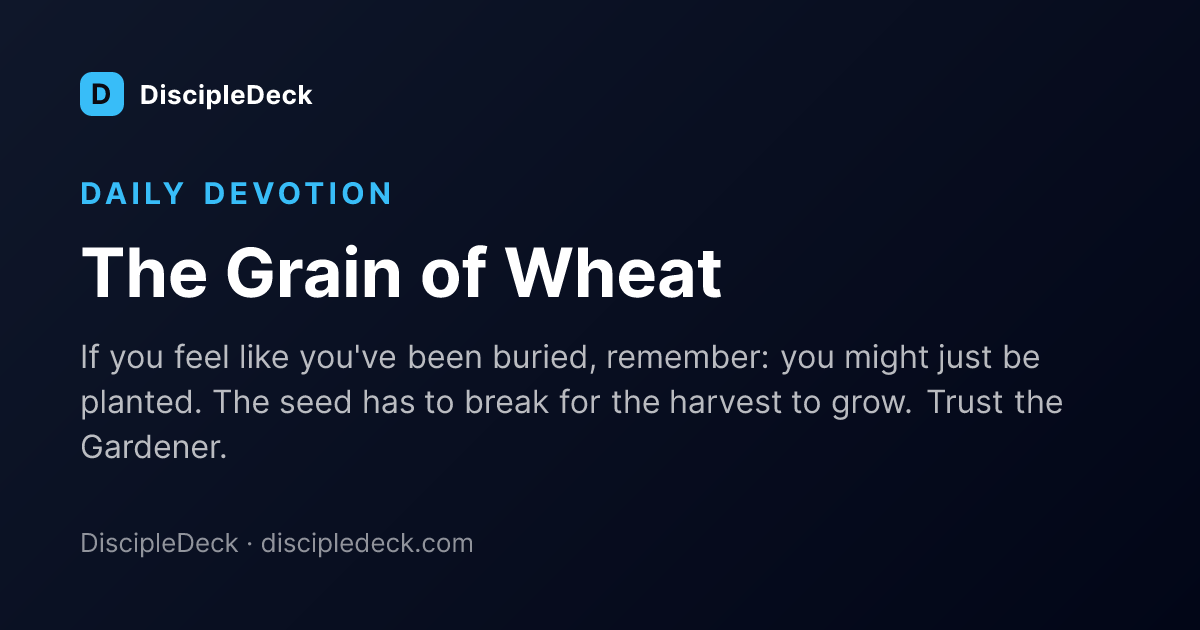 Shareable DiscipleDeck devotional for The Grain of Wheat