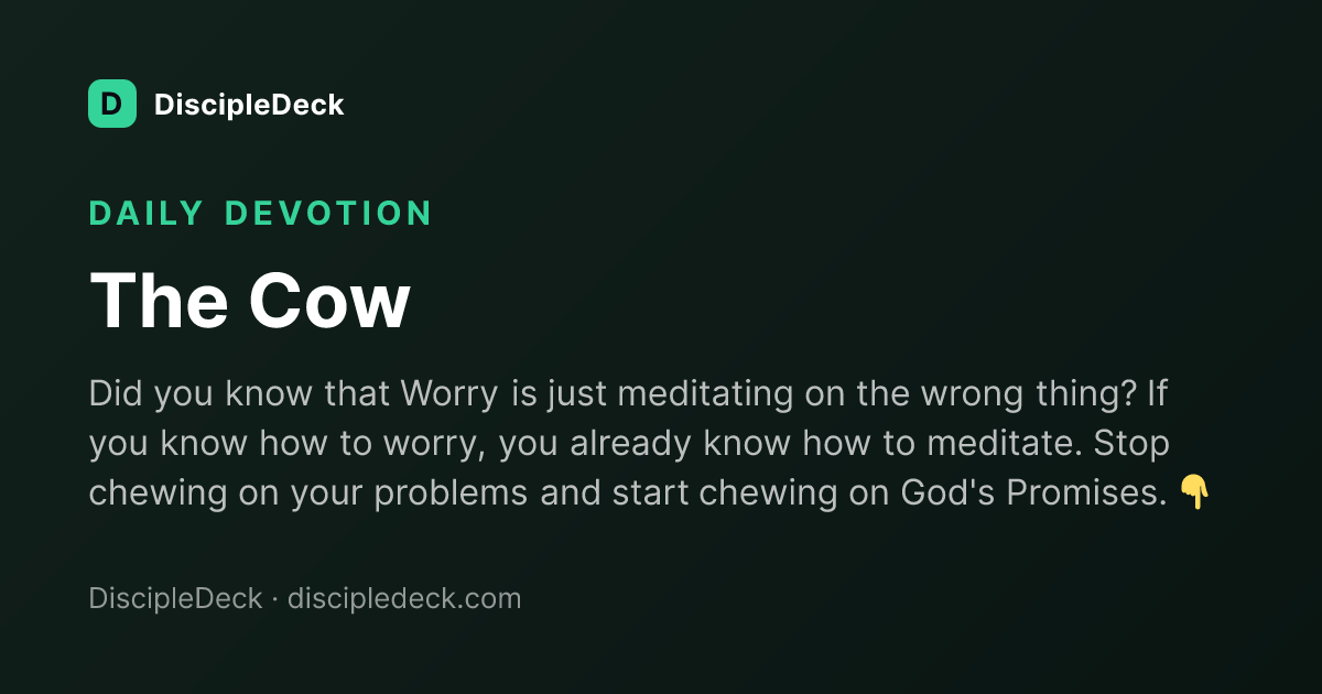 Shareable DiscipleDeck devotional for The Cow