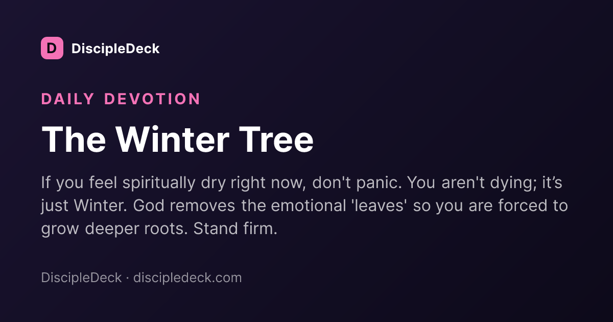 Shareable DiscipleDeck devotional for The Winter Tree