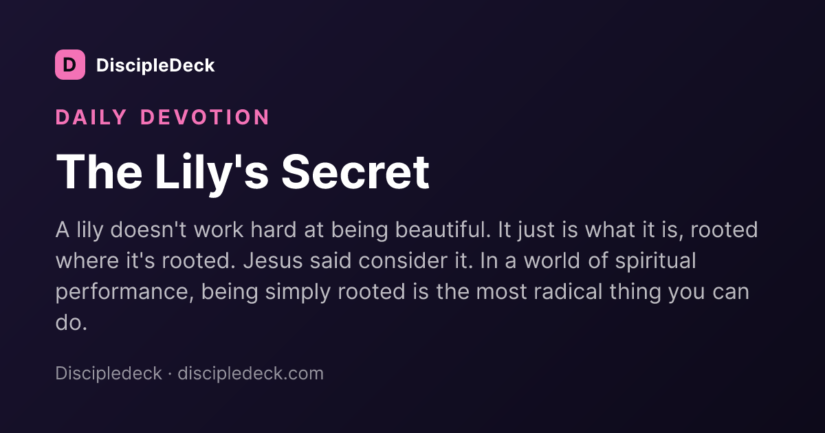Shareable DiscipleDeck devotional for The Lily's Secret